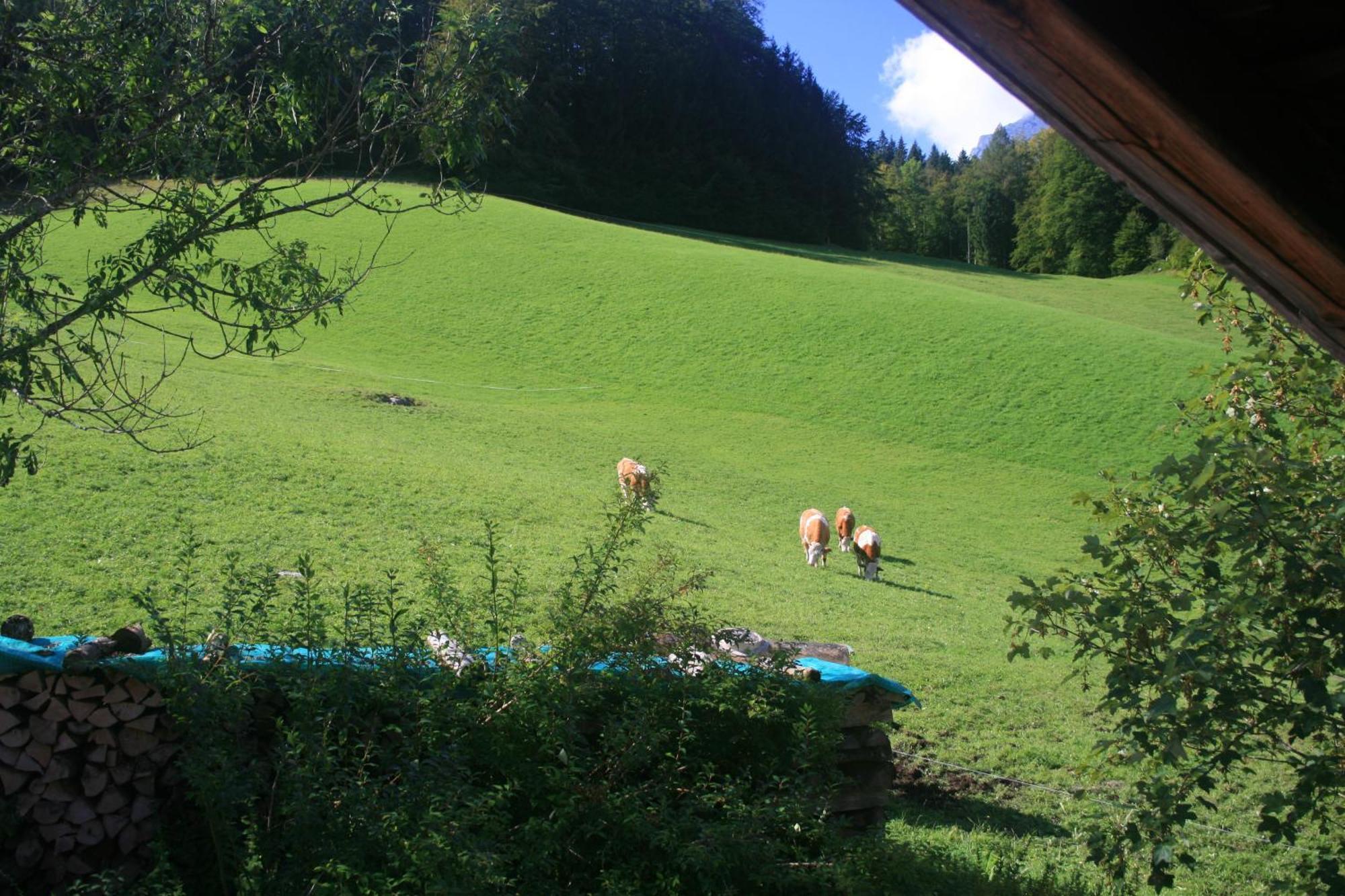 Alpenhotel Beslhof Ramsau bei Berchtesgaden Exterior foto